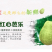 番石榴苗、西瓜芭乐苗、红宝石苗、珍珠番石榴