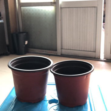 花盆
