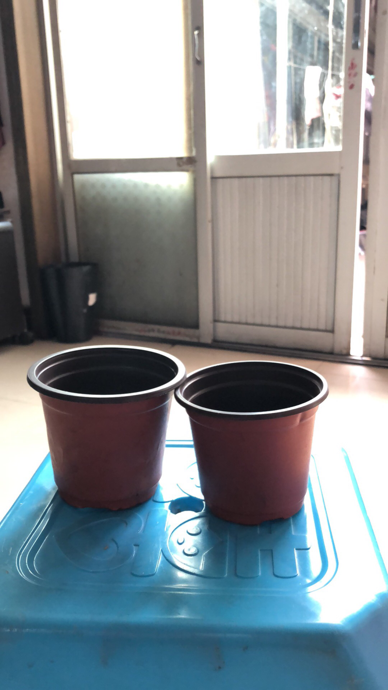 花盆