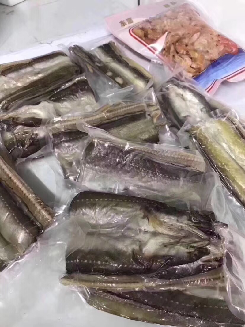 海中黄金无刺味美舟山沙鳗鲞