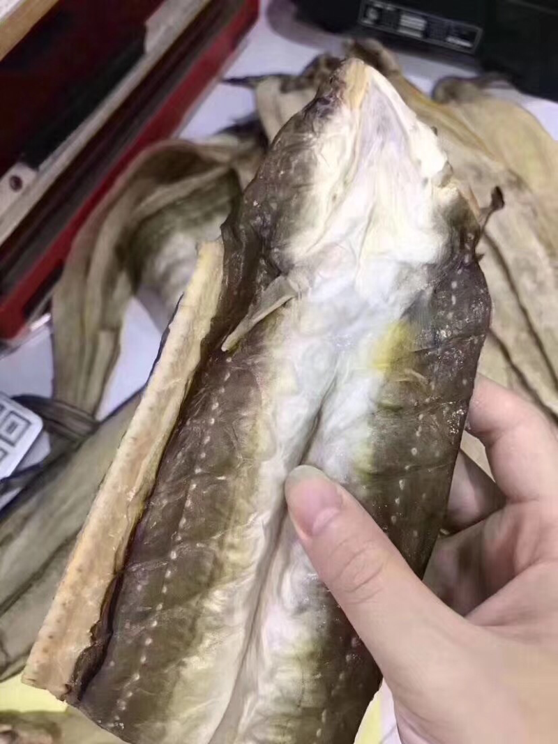 海中黄金无刺味美舟山沙鳗鲞