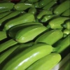 山东省聊城市蔬菜供应链的一亩田店铺
