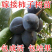 柿子苗嫁接黑柿子树苗水果苗柿子苗南方北方种植庭院盆栽