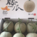 河南网纹瓜、鲁后甜玫珑瓜翠蜜瓜、阿鲁斯甜瓜3-5斤