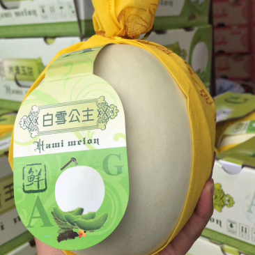 河南冰清玉菇甜瓜、口感香甜软糯、玉菇大量上市