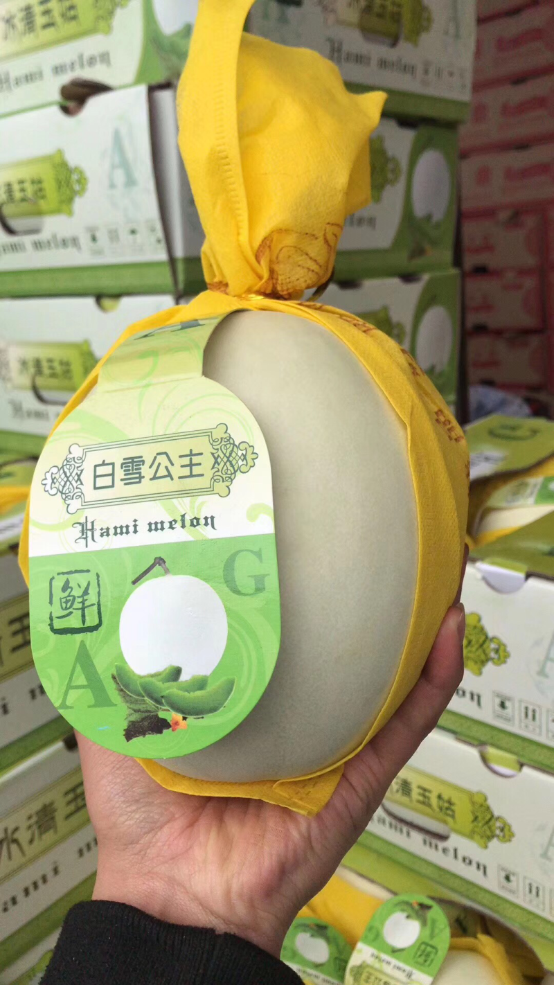 河南冰清玉菇甜瓜、口感香甜软糯、玉菇大量上市