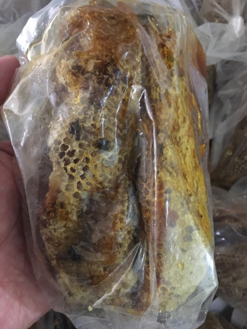 纯野生天然峰蜜