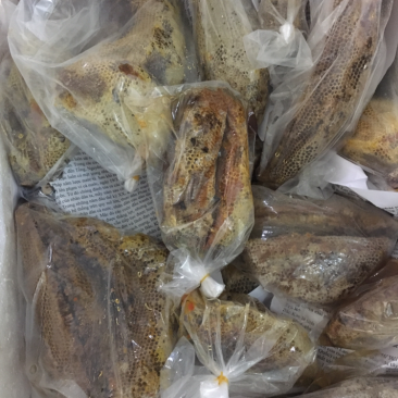 纯野生天然峰蜜