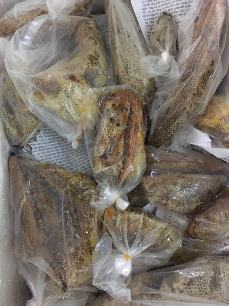 纯野生天然峰蜜