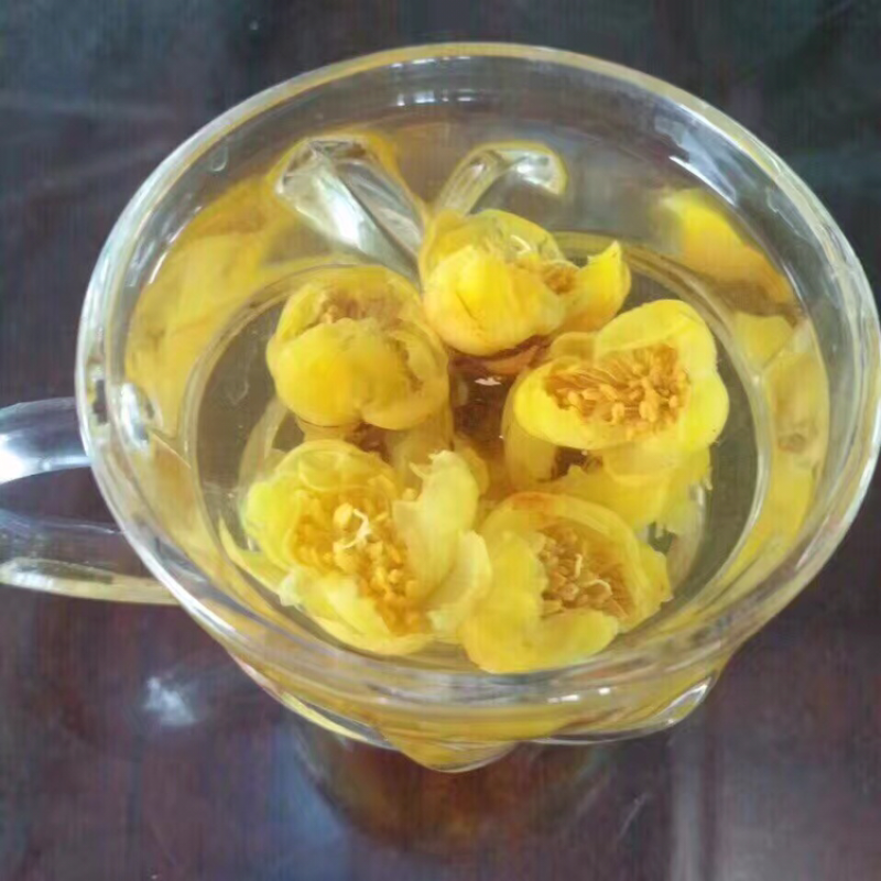 越南金花茶