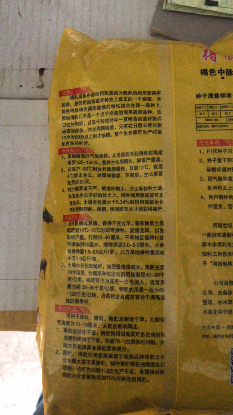 杂交饲料高粱种子甜高粱种子连续采收青储鲜食营养高连续收割