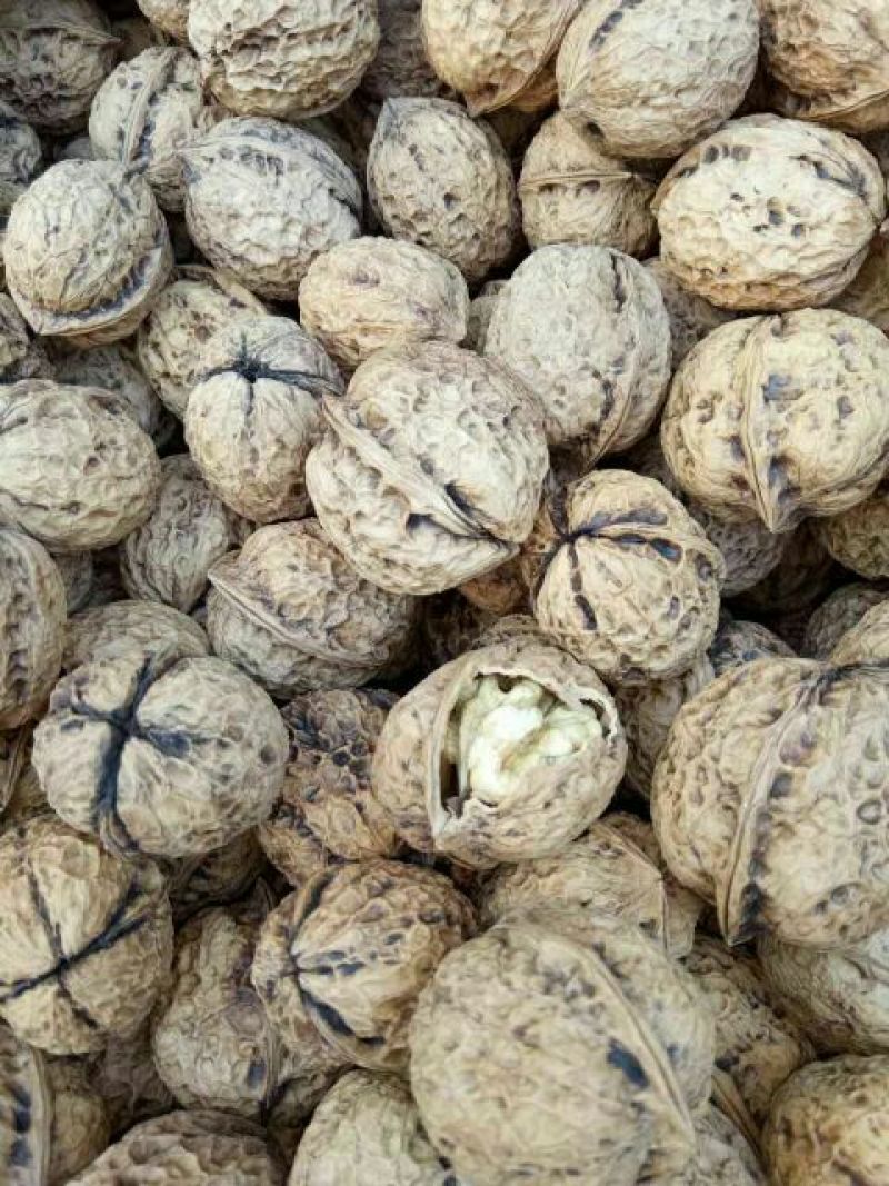薄皮核桃30mm以上去皮干