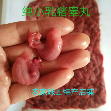 猪卵子猪宝小猪腰子现抠现卖