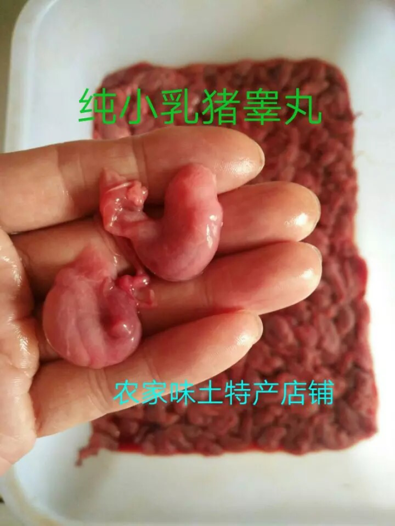猪卵子猪宝小猪腰子现抠现卖