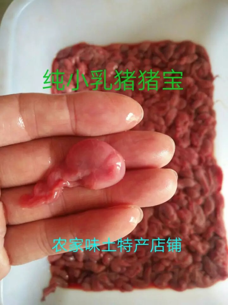 猪卵子猪宝小猪腰子现抠现卖