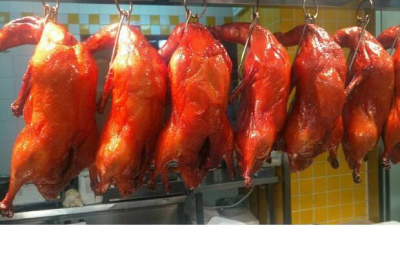 白条鸭，白鸭，光鸭，樱桃谷白鸭，肉鸭