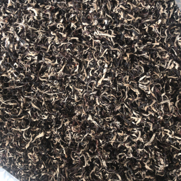 白背毛木耳丝黑木耳丝木耳丝