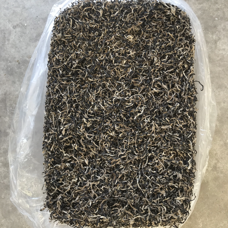 白背毛木耳丝黑木耳丝木耳丝