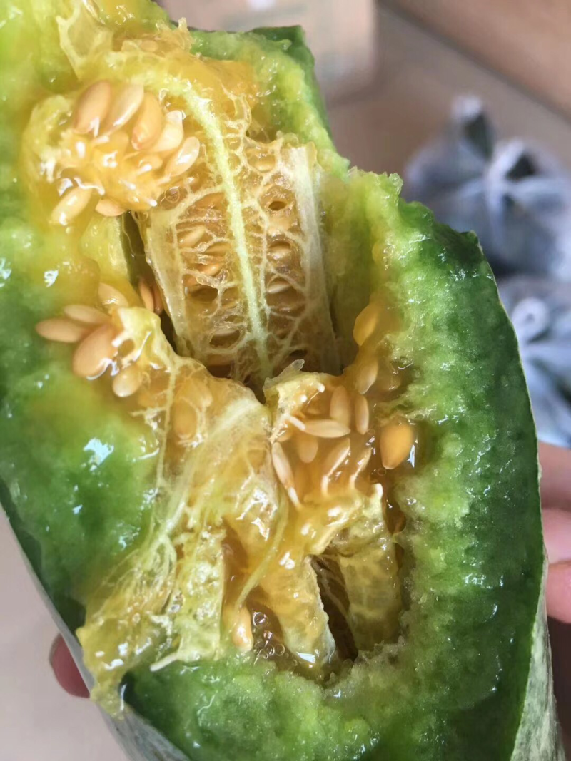 大棚甜瓜山东甜瓜羊角蜜甜瓜微商电商大量供应