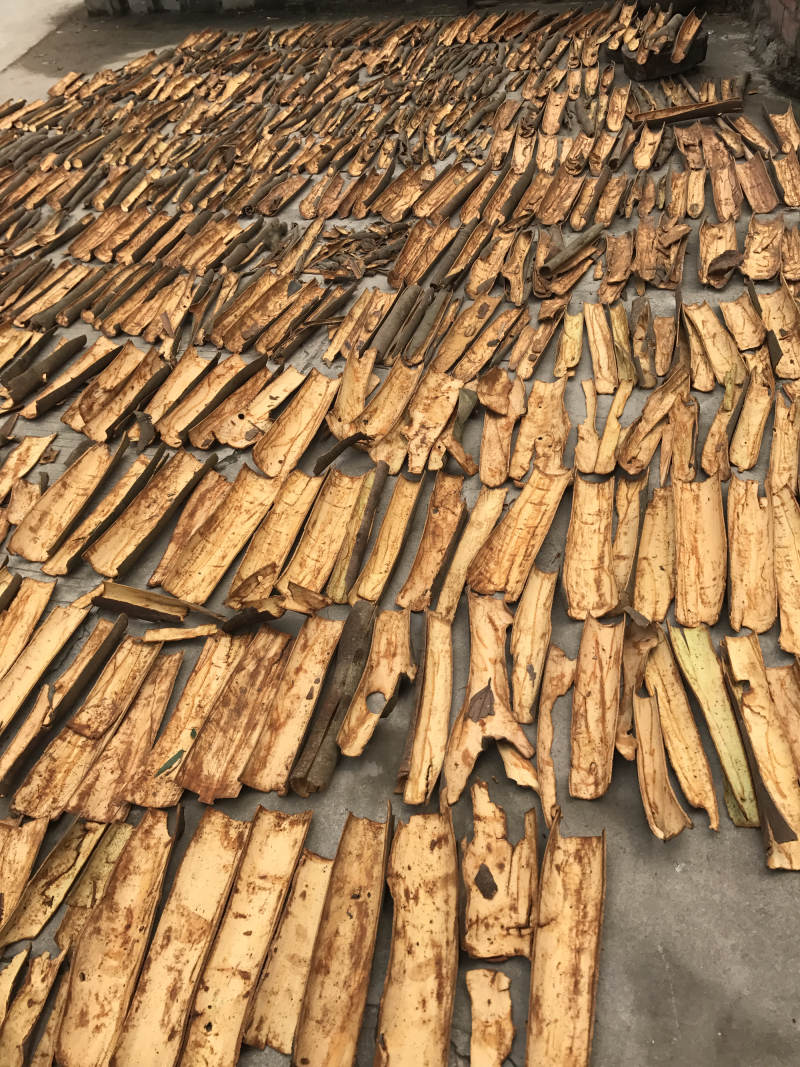 大量桂皮
