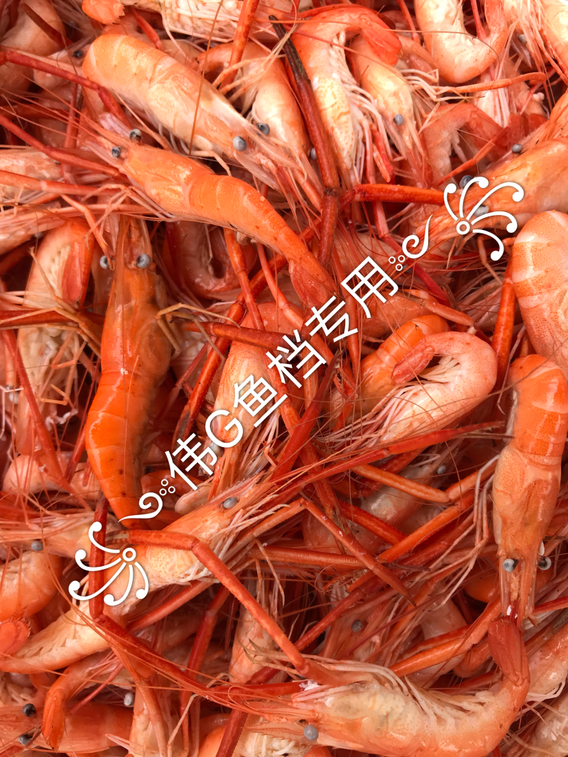 水煮大虾饮用水河虾一手货源