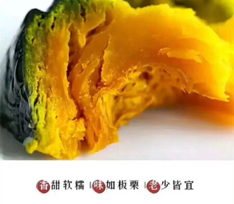 贝贝南瓜