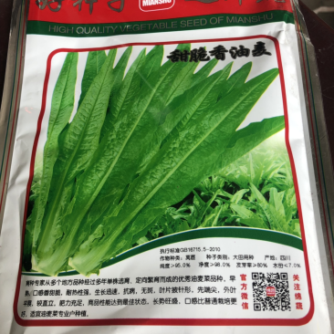 油麦菜种子250克装