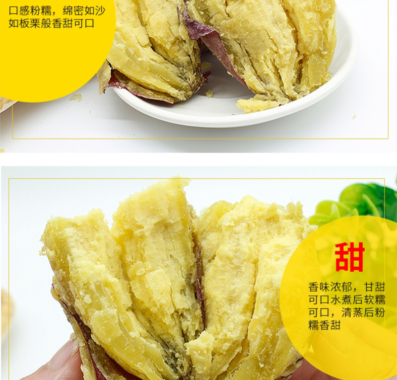 越南板栗红薯大量批发