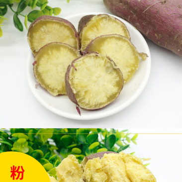越南板栗红薯大量批发