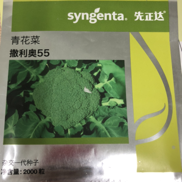 蔬菜先正达撒利奥55原包装西兰花种子耐热高产