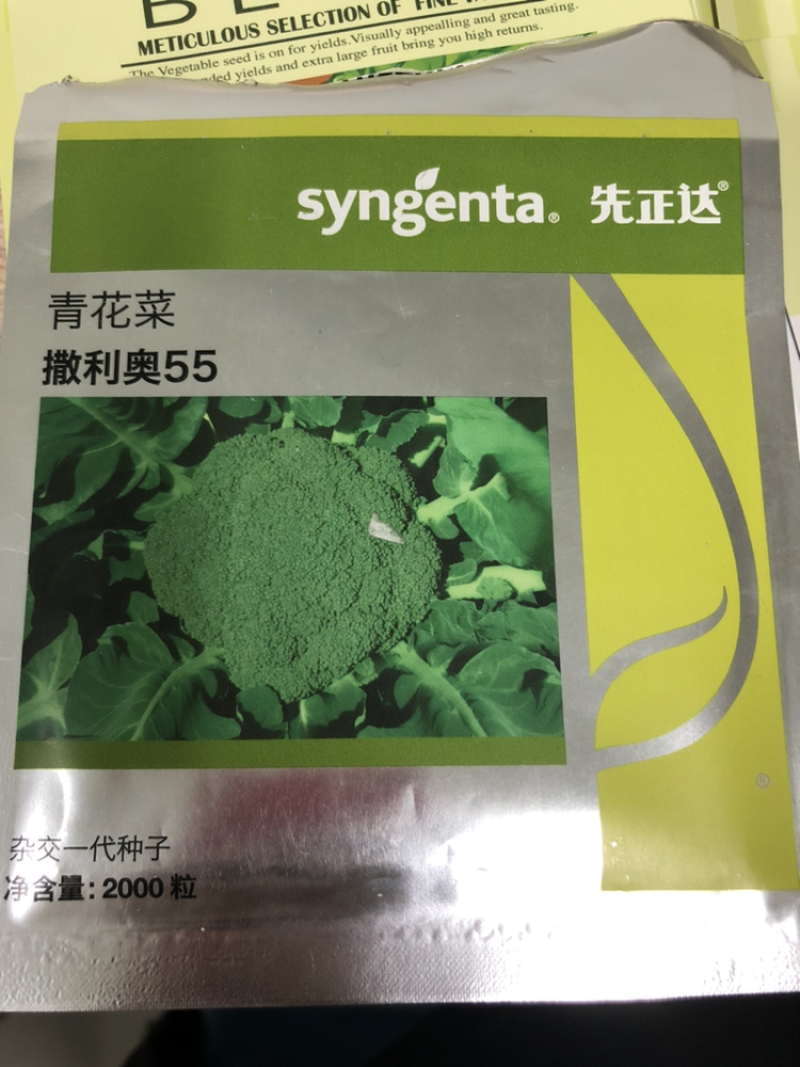 蔬菜先正达撒利奥55原包装西兰花种子耐热高产