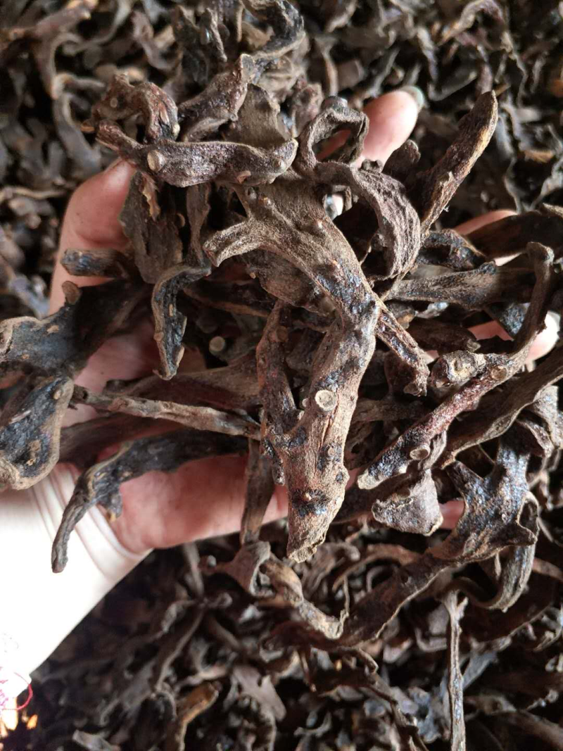 骨碎补，干个子，脱毛四次，符合药典