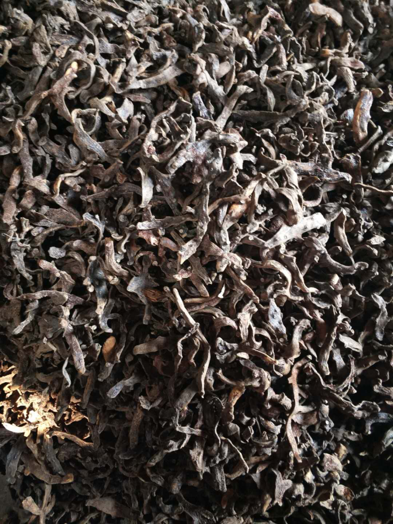 骨碎补，干个子，脱毛四次，符合药典
