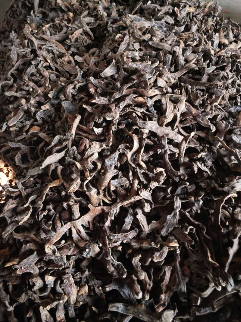 骨碎补，干个子，脱毛四次，符合药典