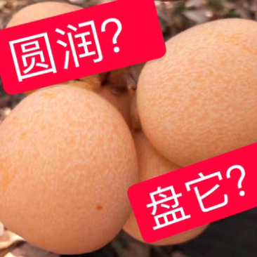 四川大凉山农家枇杷五星枇杷甜枇杷自己种植包邮