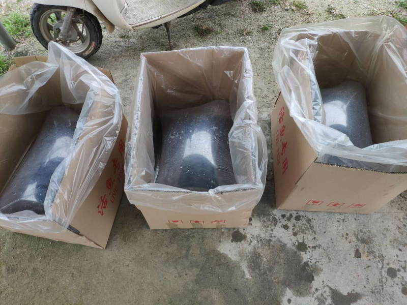 鲫鱼苗中科三号银鲫鱼苗规格均匀成活好苗场直供