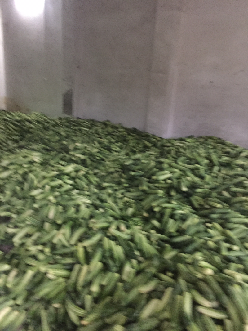 旱黄瓜新鲜上市量大货多陆续还有其它蔬菜上市