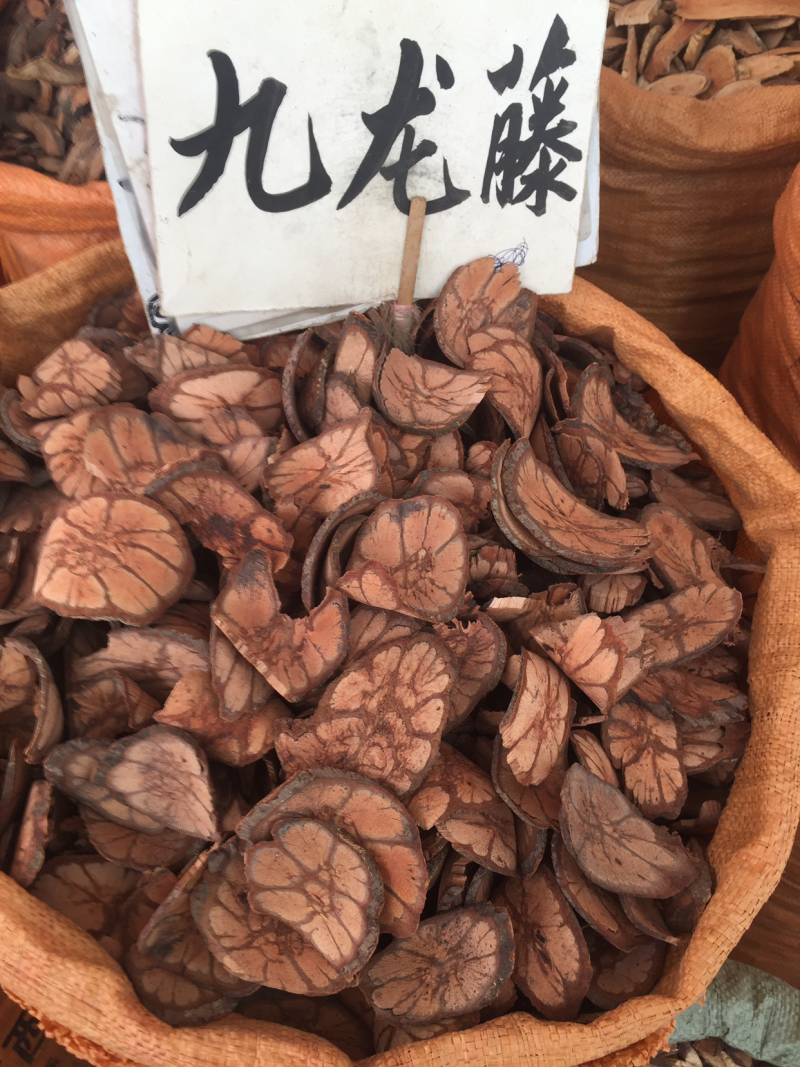 九龙藤野生