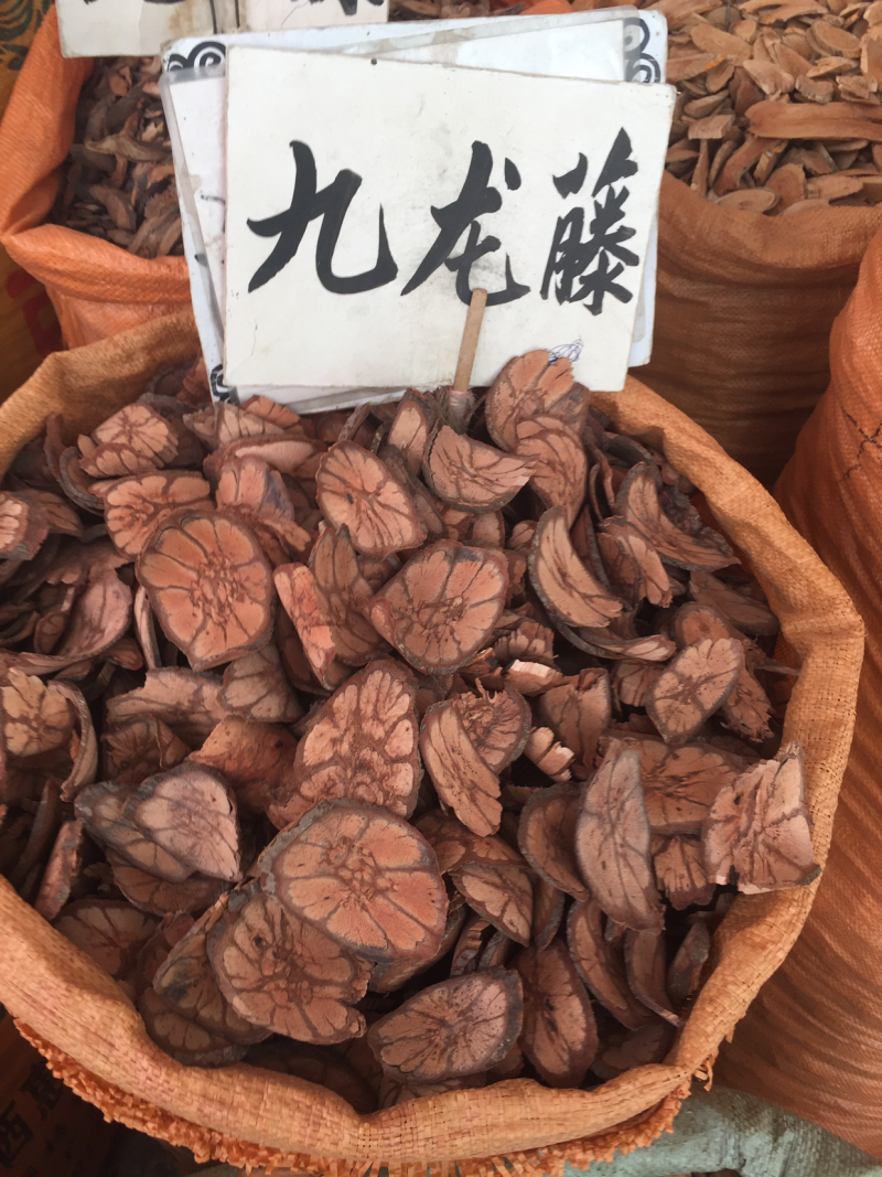 九龙藤野生
