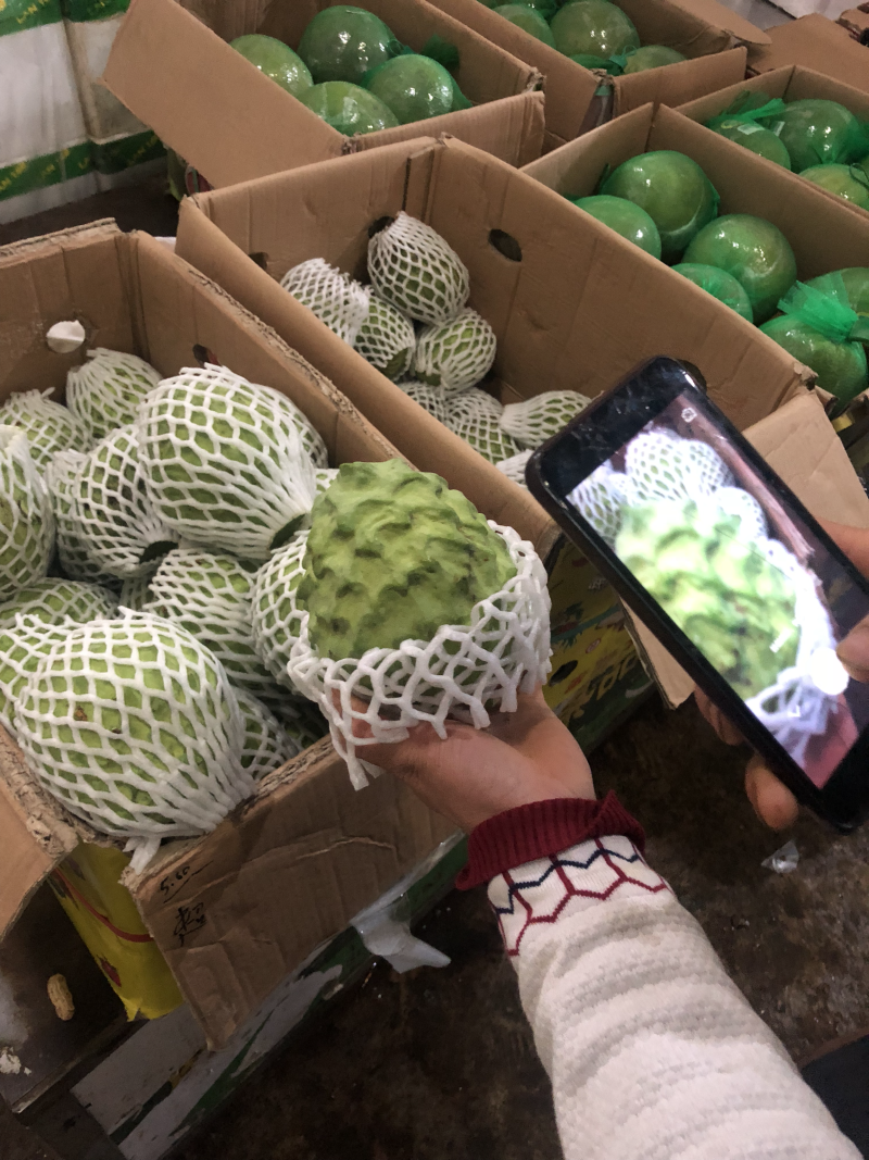 释迦果全国最稳定货源