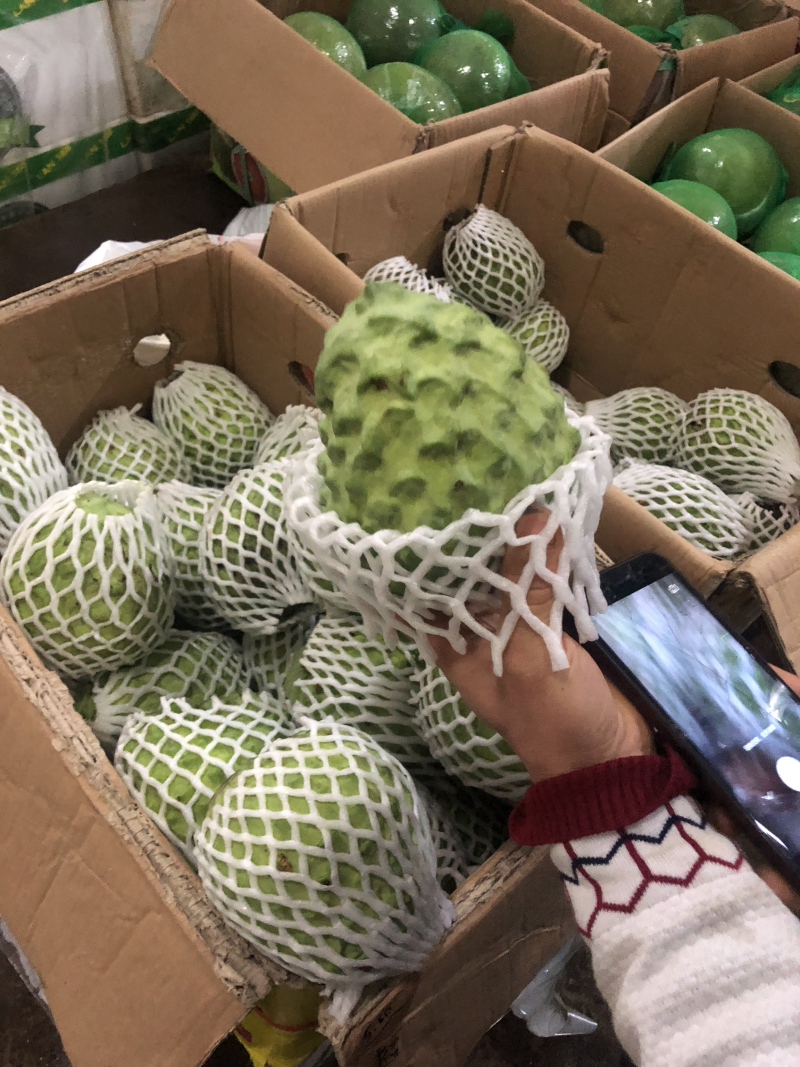 释迦果全国最稳定货源