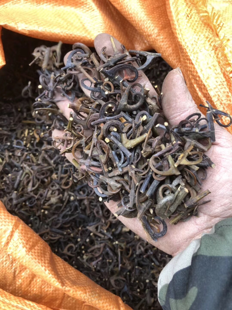 A级纯平有大货，产地一手货源。诚招实力经销商