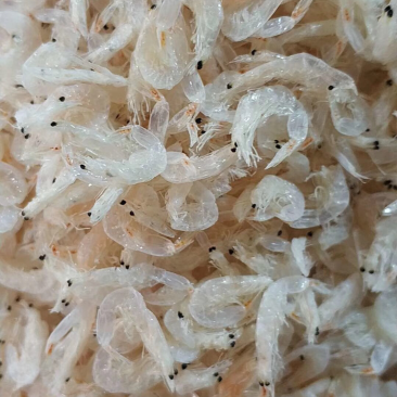 霞浦虾皮,一级虾米,淡干熟虾皮,孕妇宝宝辅食