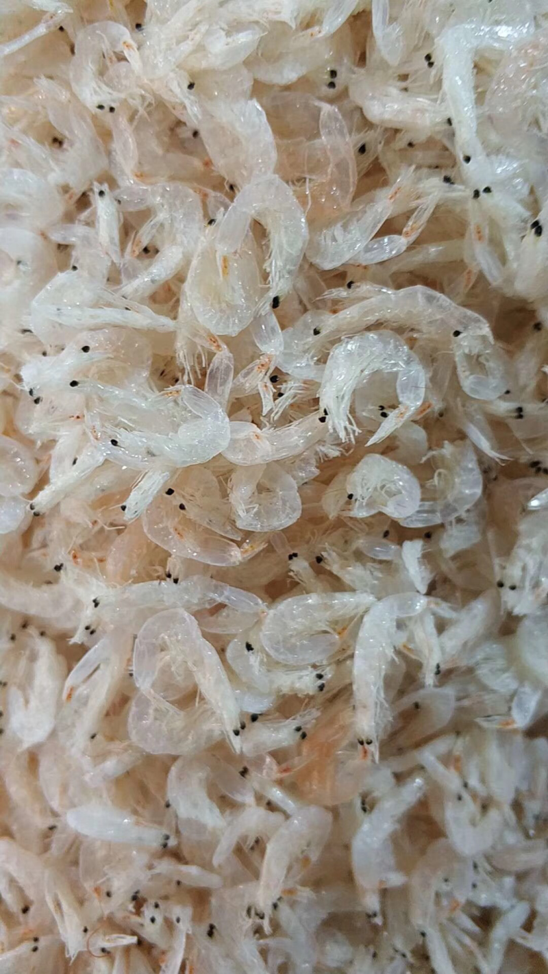霞浦虾皮，一级虾米，淡干熟虾皮，孕妇宝宝辅食