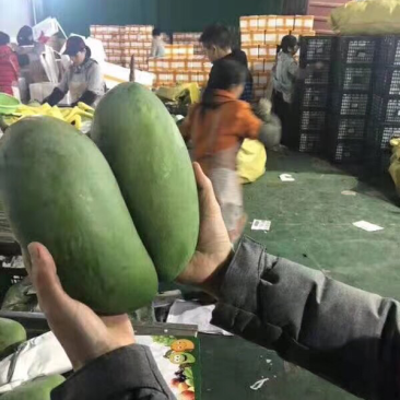 越南一级大青芒支持一件代发电商微商首选