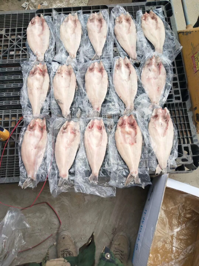 巴沙鱼，开背鱼