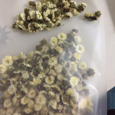 杭白菊一袋2两