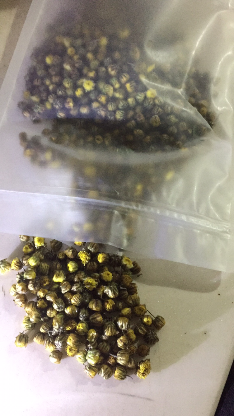 杭白菊胎菊一袋2两
