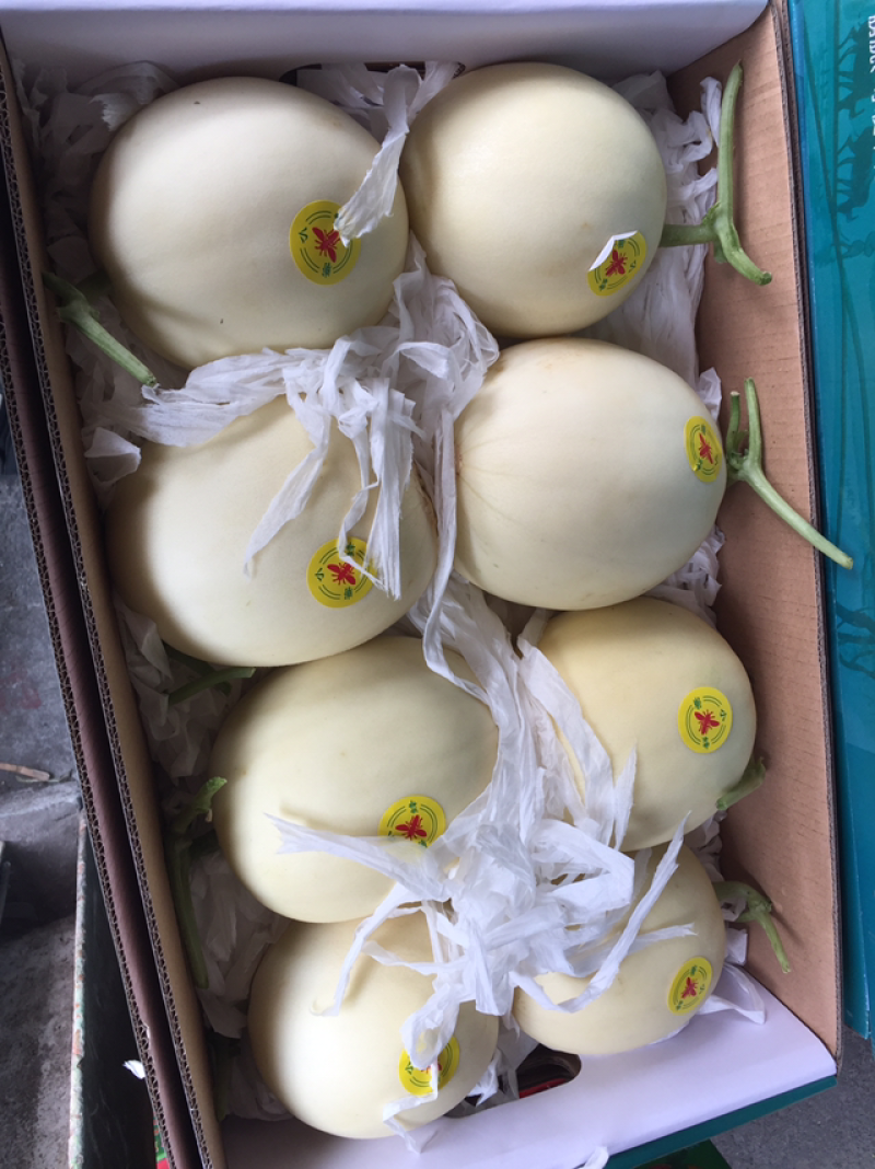 黄金瓜小白瓜