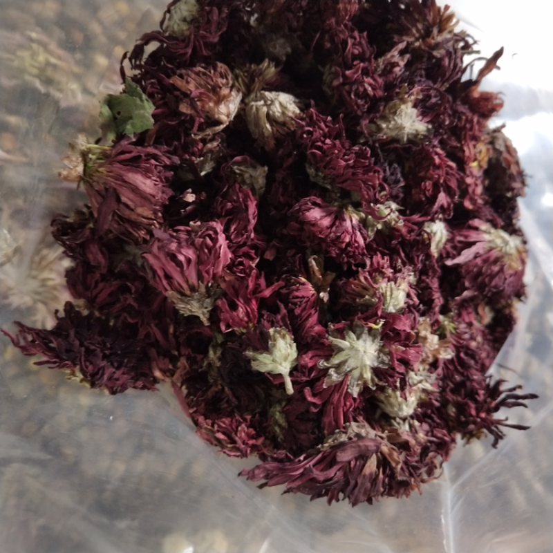 中华红菊一袋2两